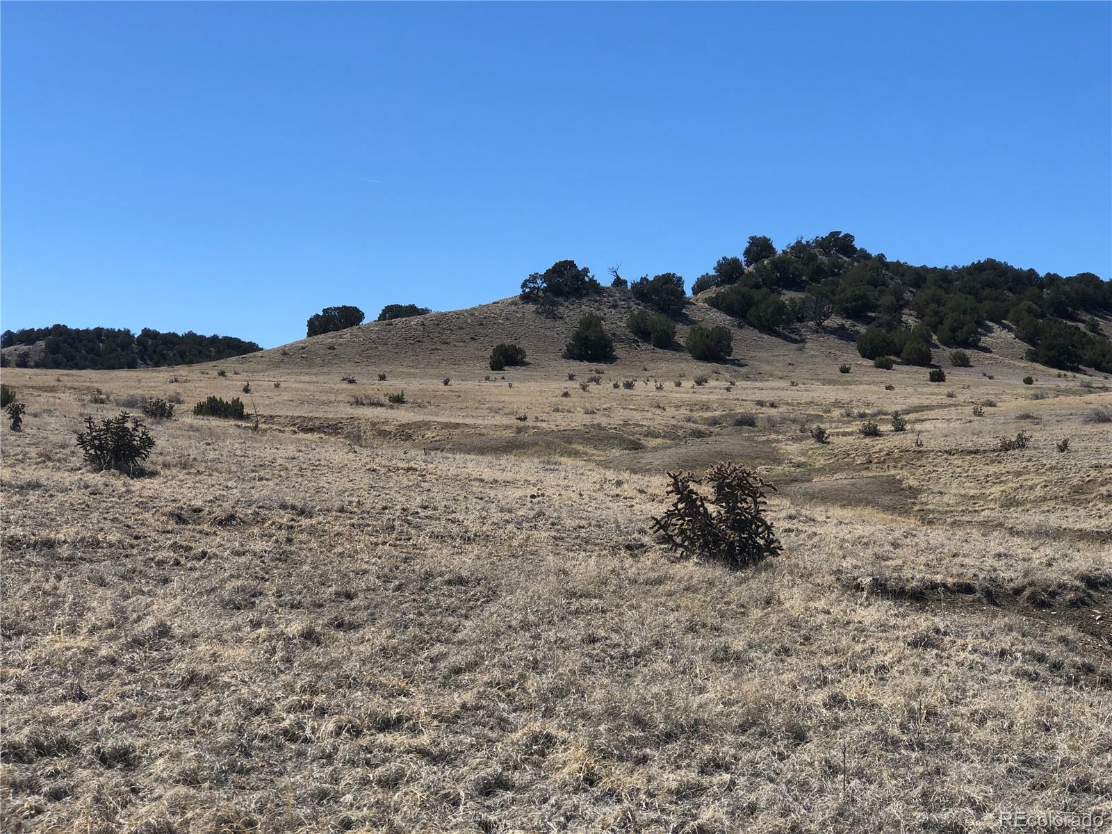 Lot 10 Longhorn Ranch Lot 10, Model, CO 81059