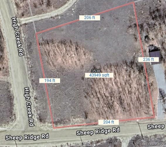 3538 High Creek Rd, Fairplay, CO 80440