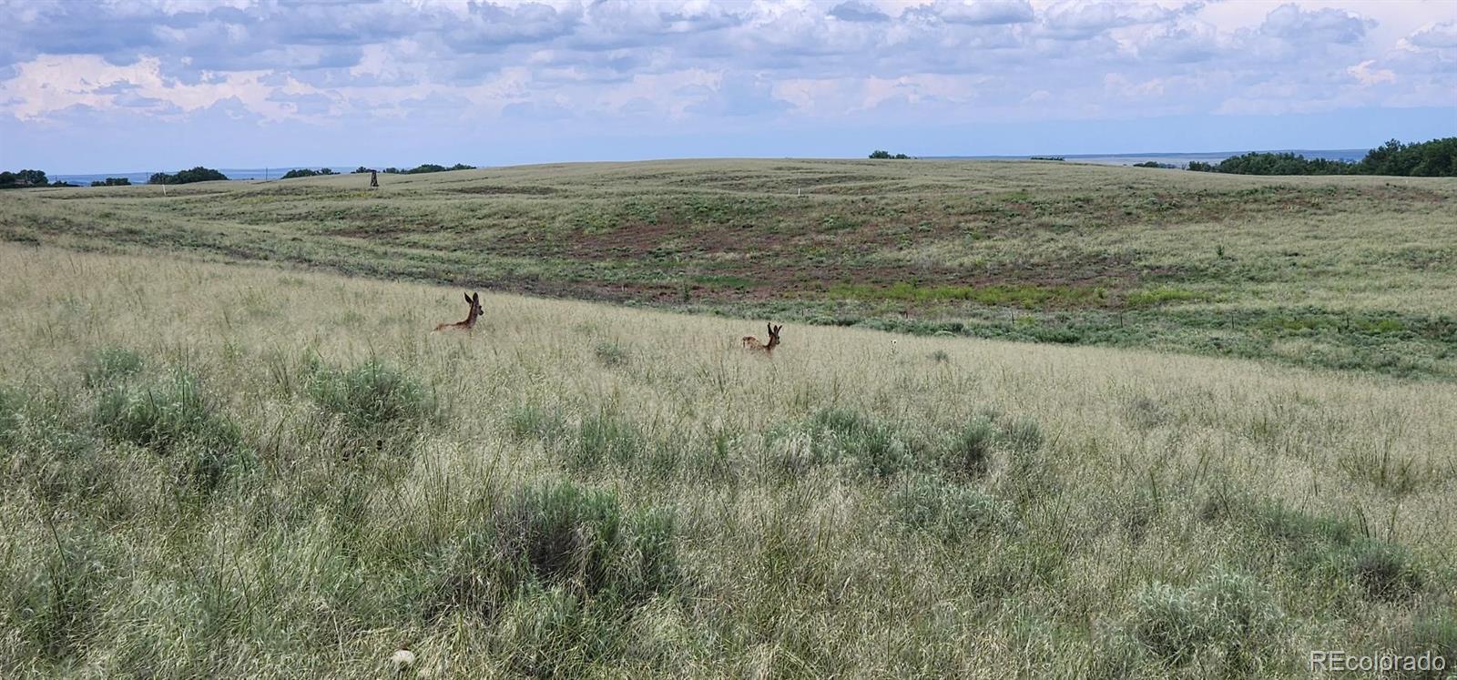 County Rd 95, Orchard, CO 80654