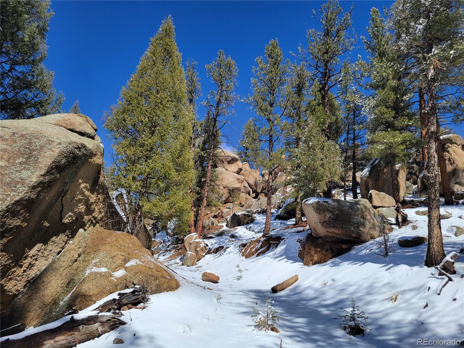 17016 Icehouse Ct Lot 6, Pine, CO 80470