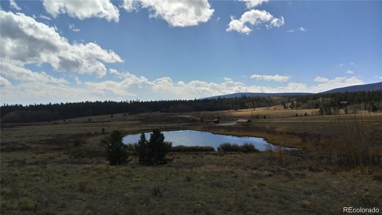 Foxtail Ct, Fairplay, CO 80440