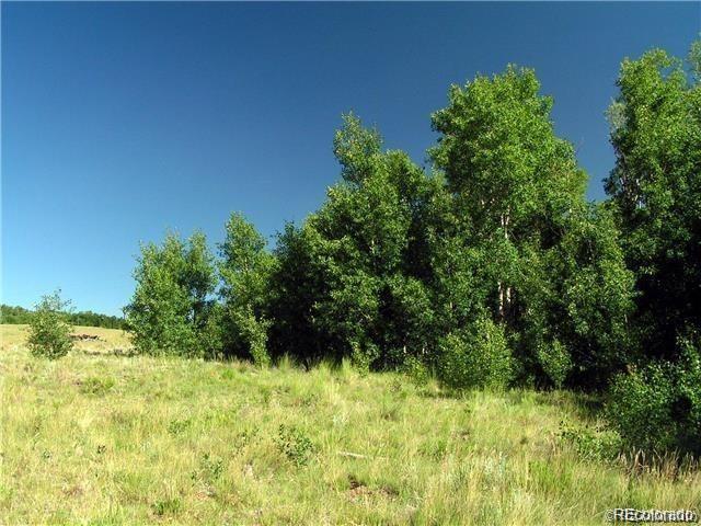 Foxtail Ct, Fairplay, CO 80440