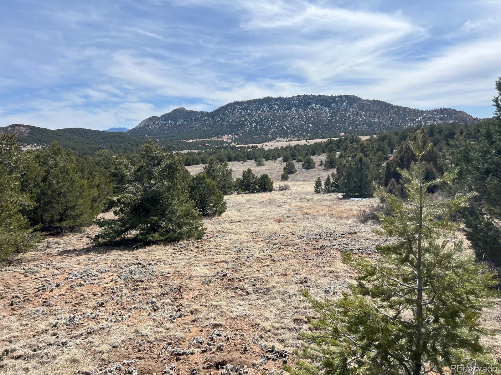 480 Wild Bill Blvd, Westcliffe, CO 81252