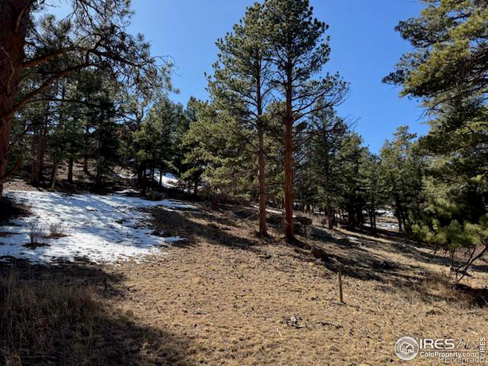 345 Green Pine Ct, Estes Park, CO 80517