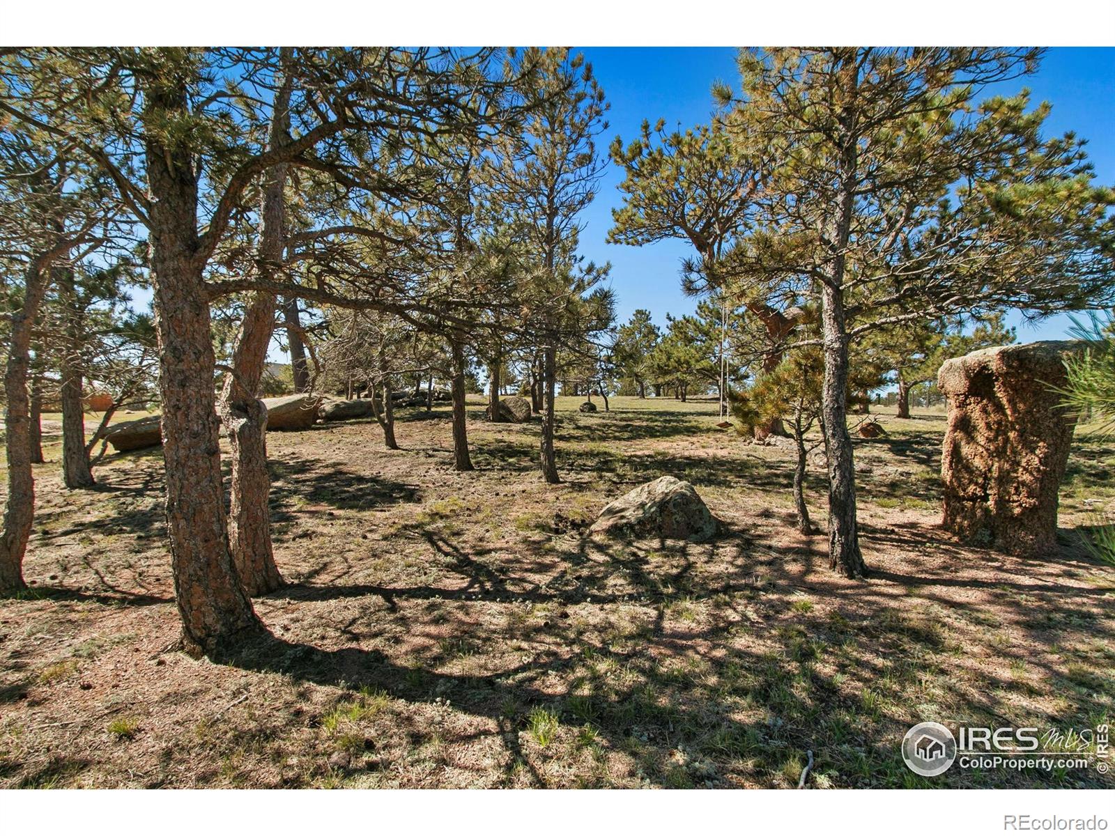 9512 Red Mountain Rd, Livermore, CO 80536