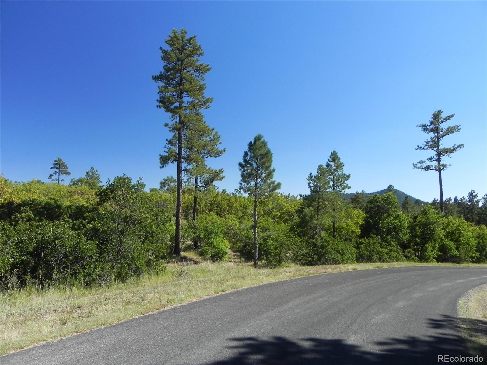 7724 Corona Ct, Larkspur, CO 80118
