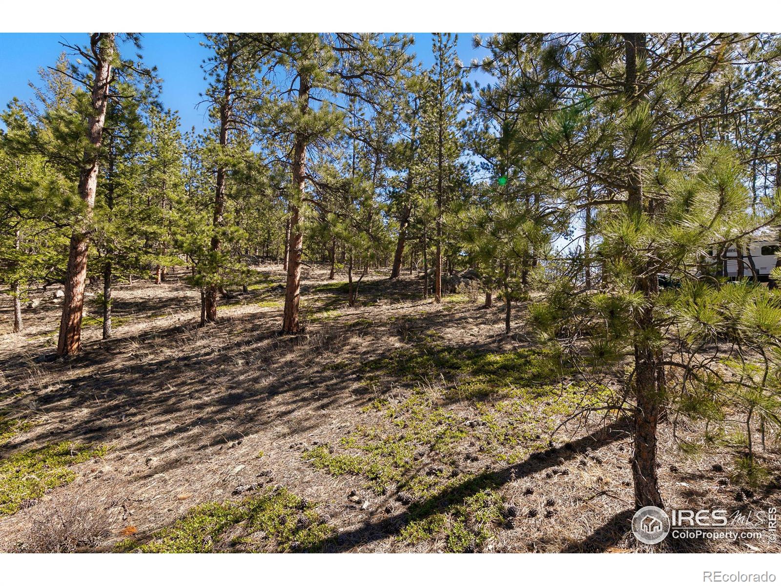 105 Fox Creek Rd, Glen Haven, CO 80532