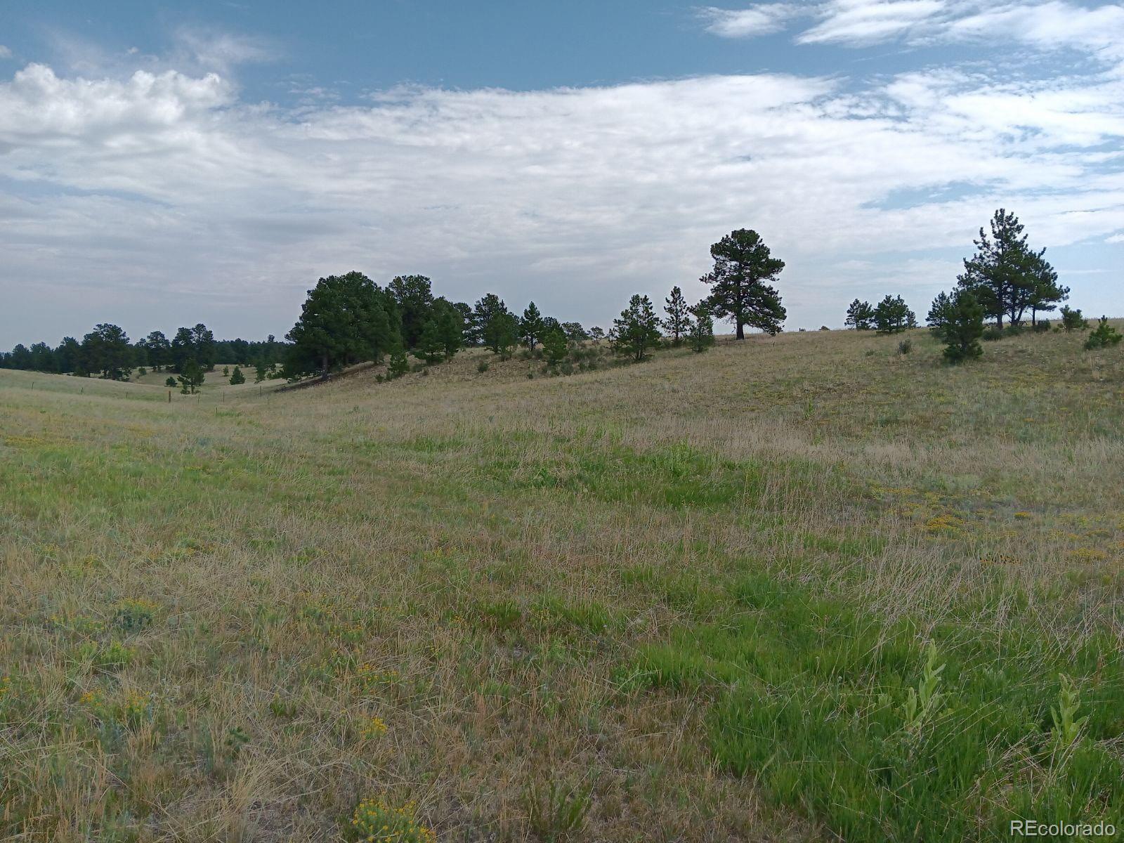5335 County Road 82, Elbert, CO 80106