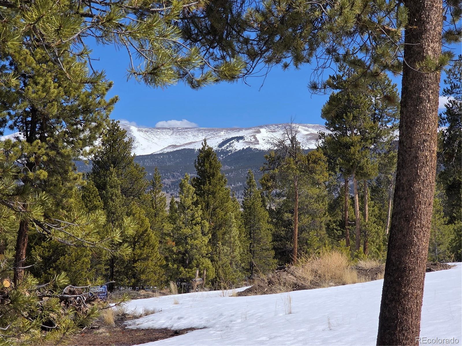 378 Ponderosa Dr, Twin Lakes, CO 81251