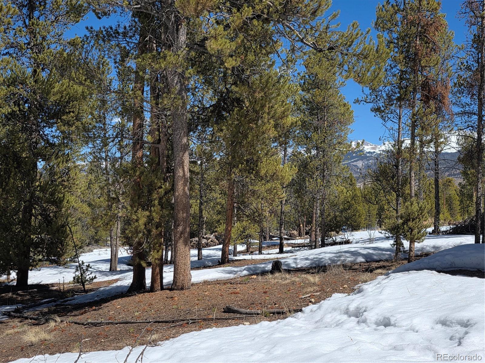 378 Ponderosa Dr, Twin Lakes, CO 81251
