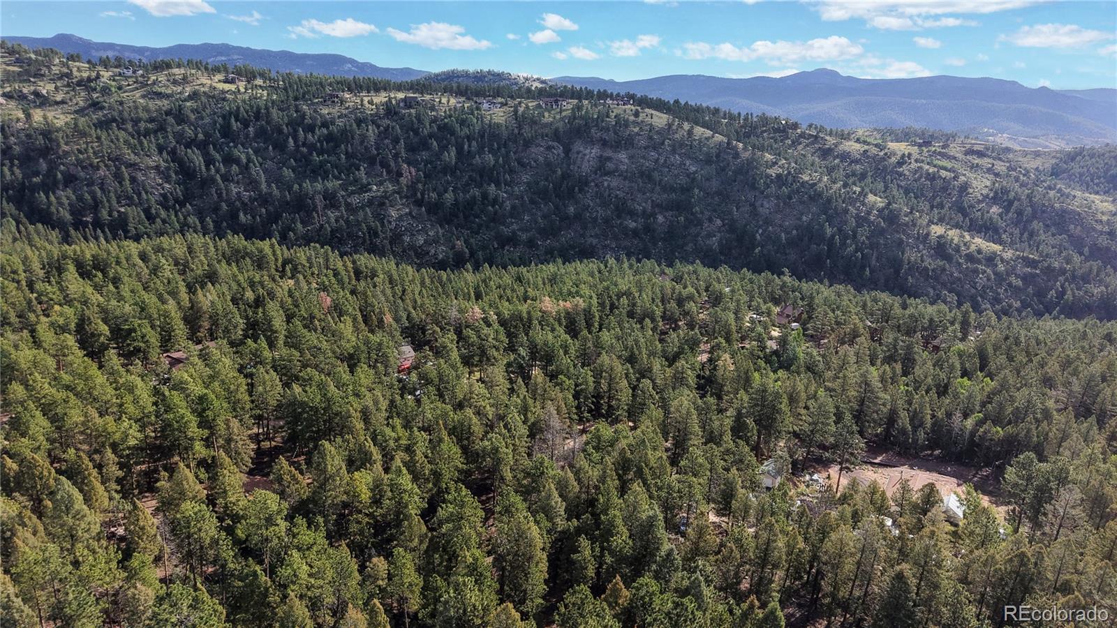 33476 La Plata Ln, Pine, CO 80470