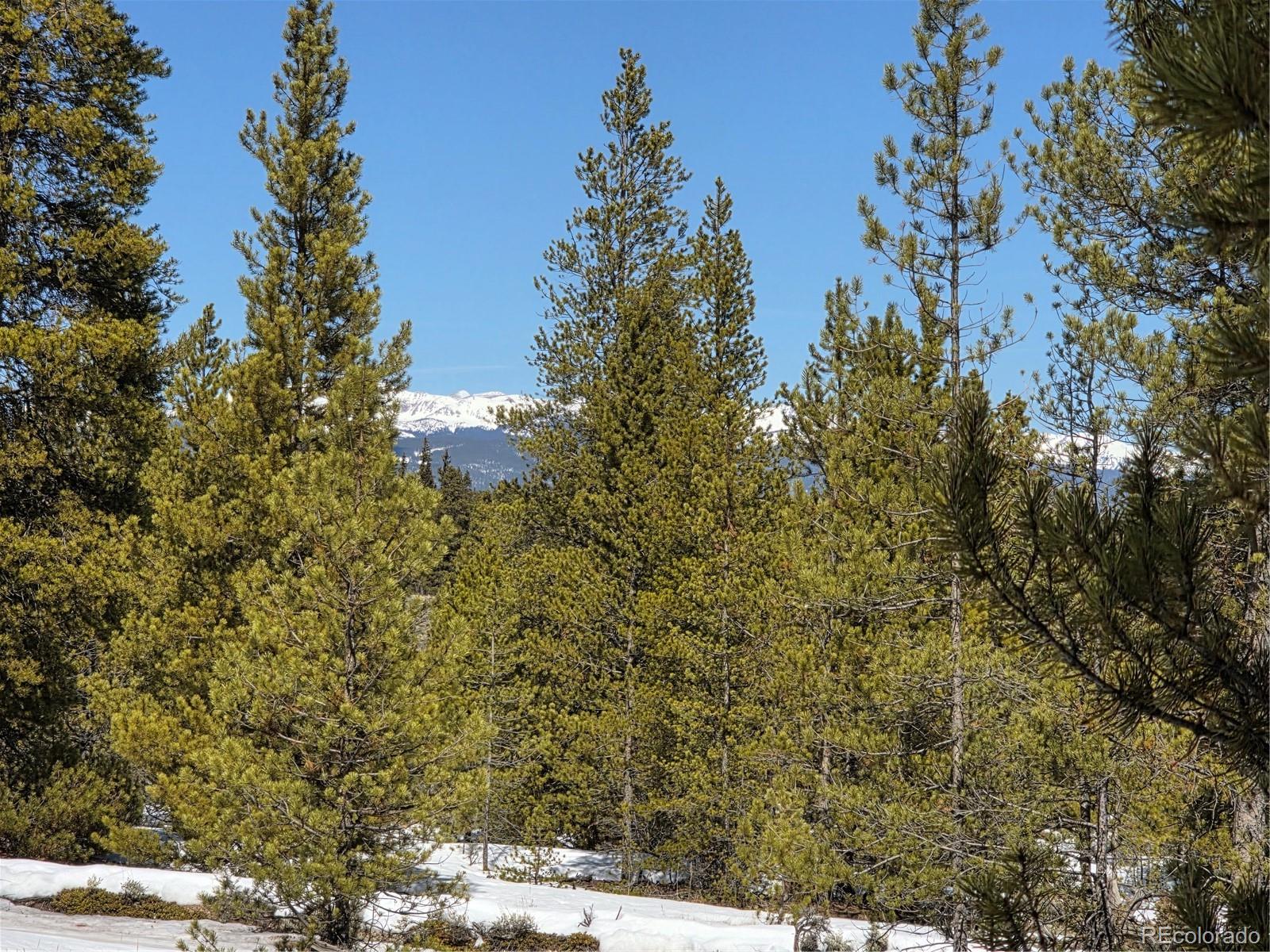 Pan Ark Lots 20 & 29, Twin Lakes, CO 81251