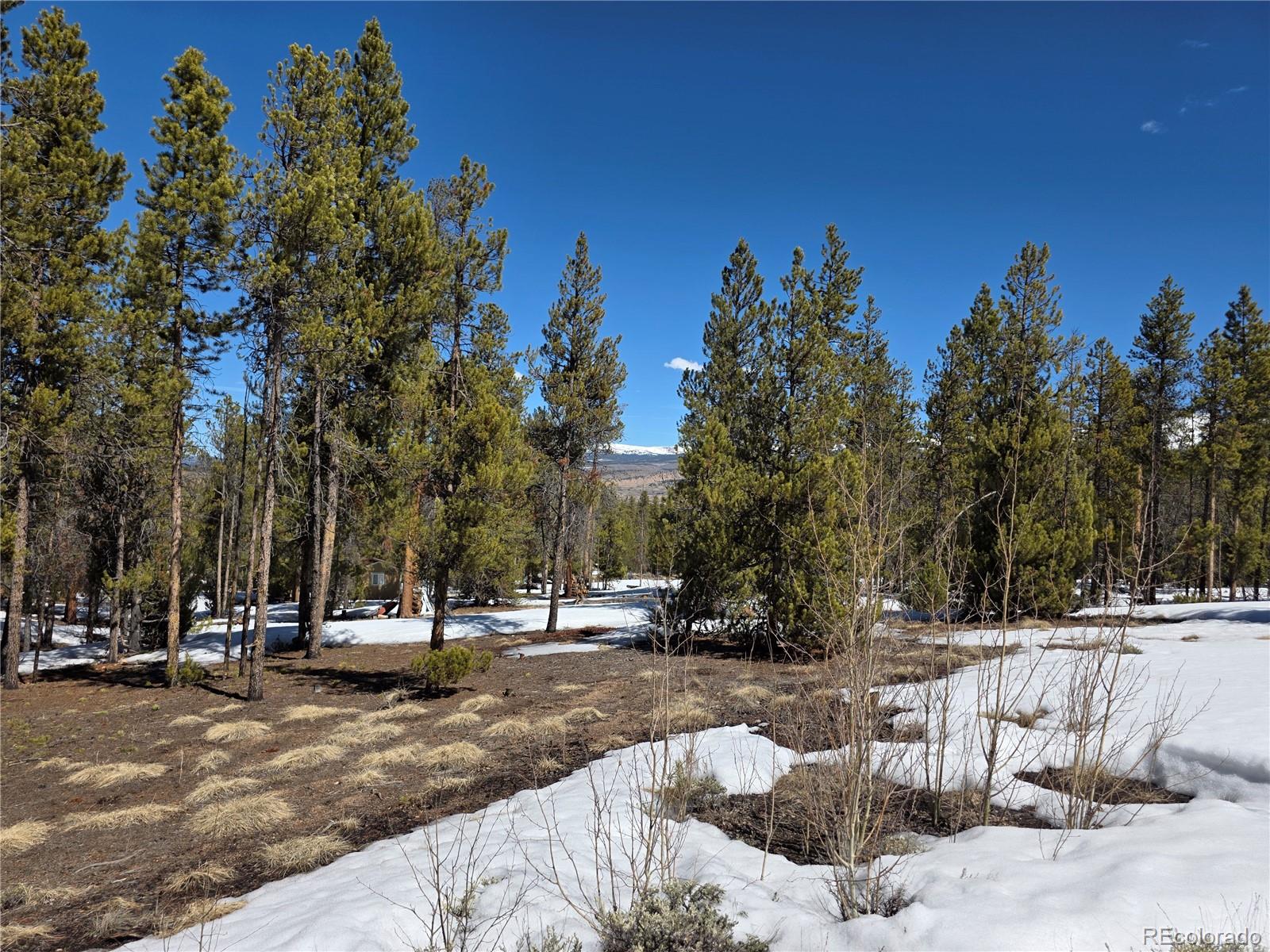 Pan Ark Lots 20 & 29, Twin Lakes, CO 81251