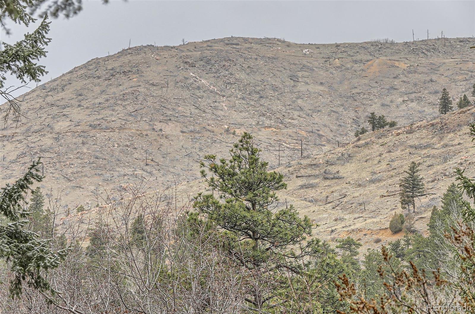 6235 Fourmile Canyon Dr, Boulder, CO 80302