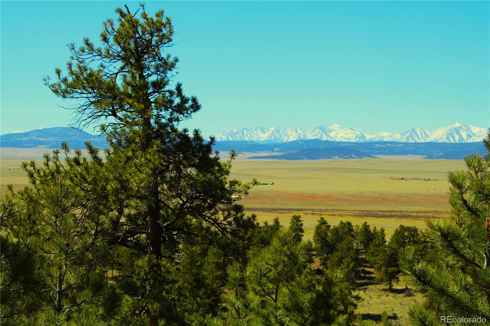 31180 Hwy 9, Hartsel, CO 80449