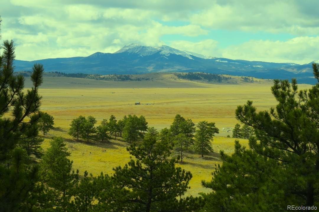 31180 Hwy 9, Hartsel, CO 80449