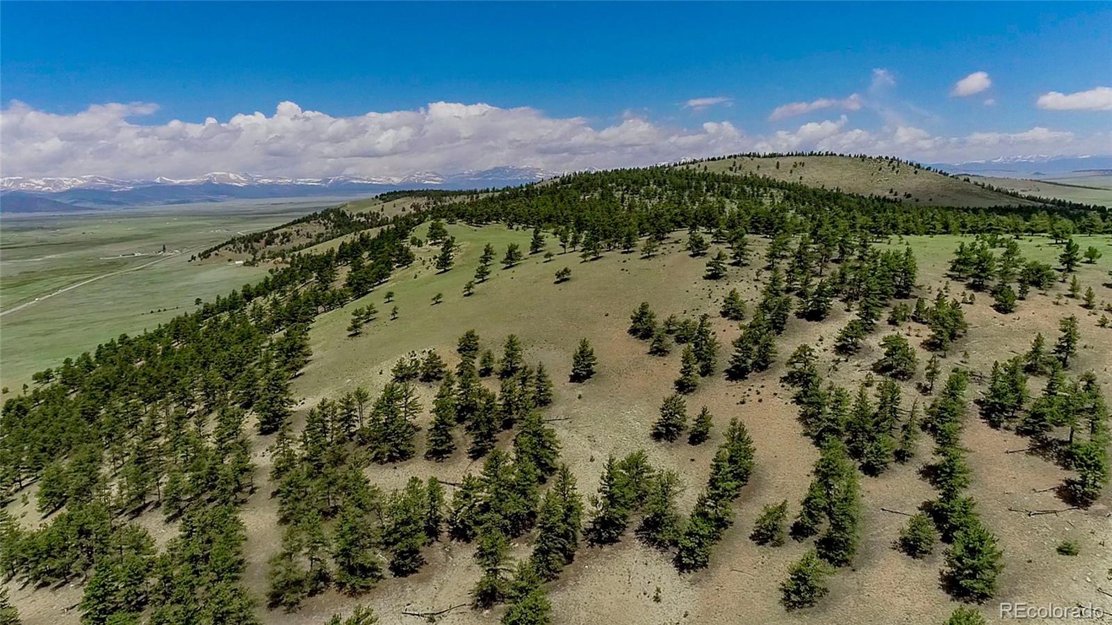 31180 Hwy 9, Hartsel, CO 80449