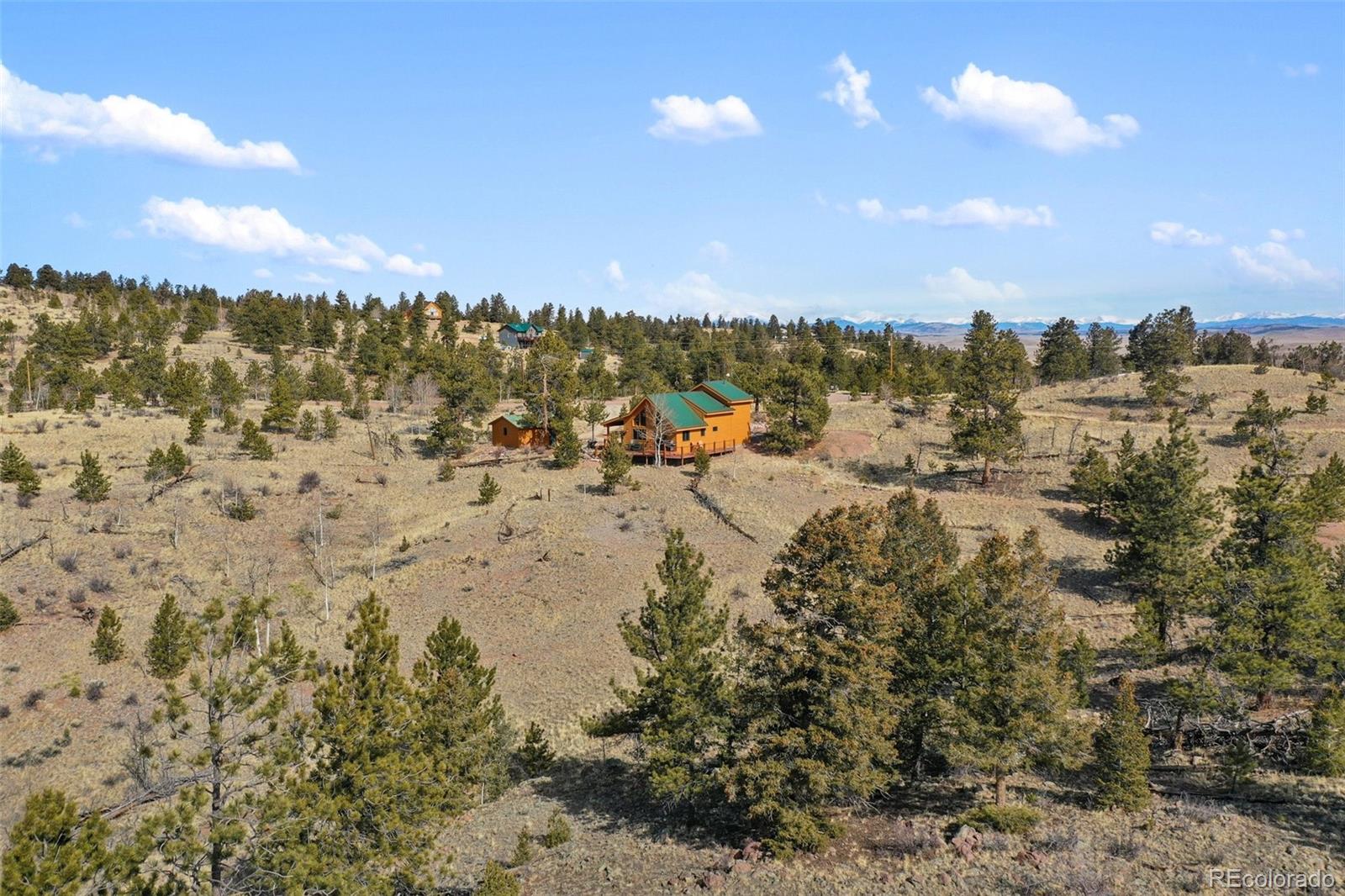 252 Bandolier Ct, Hartsel, CO 80449