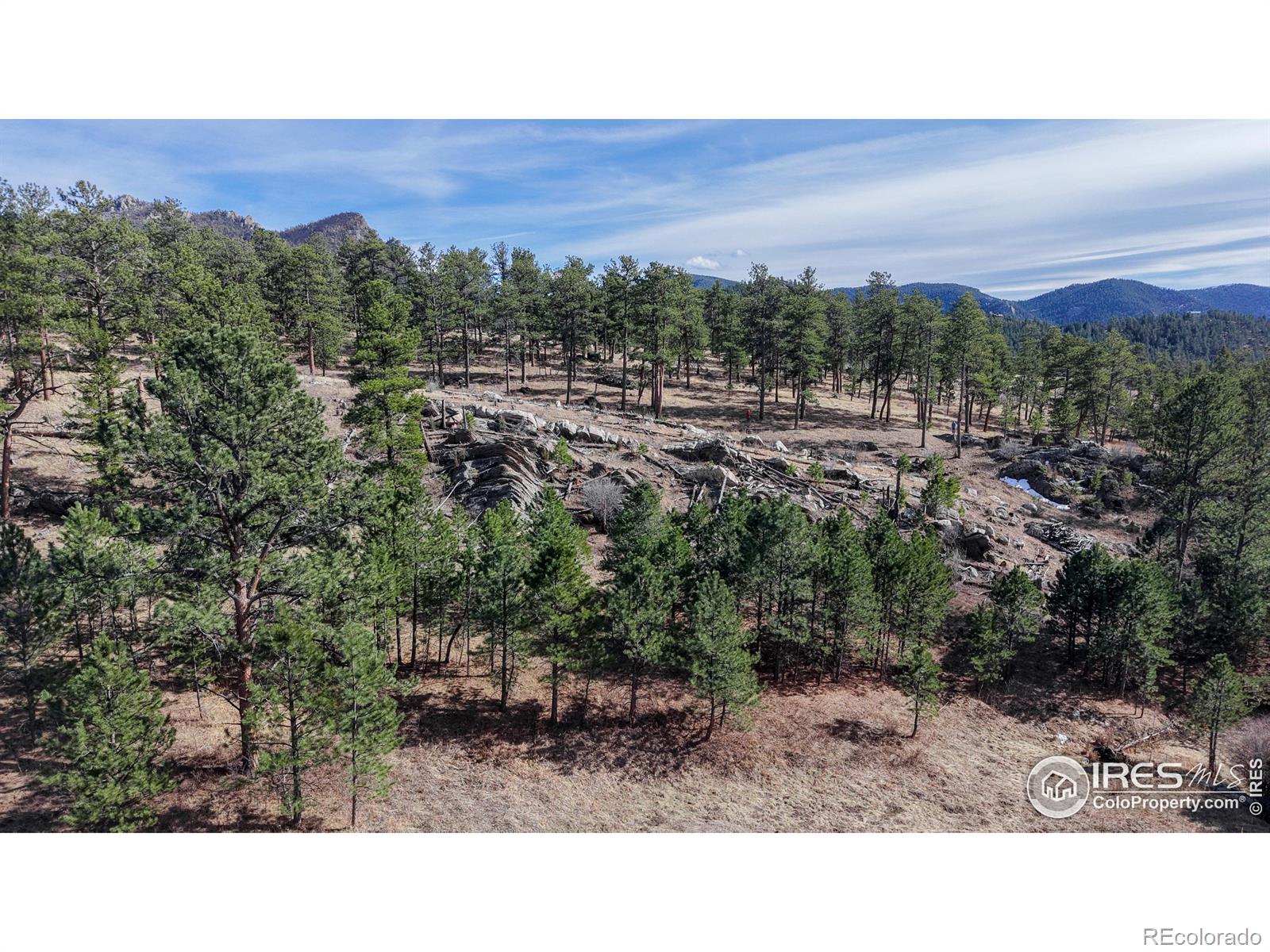 338 Bobcat Pl, Drake, CO 80515