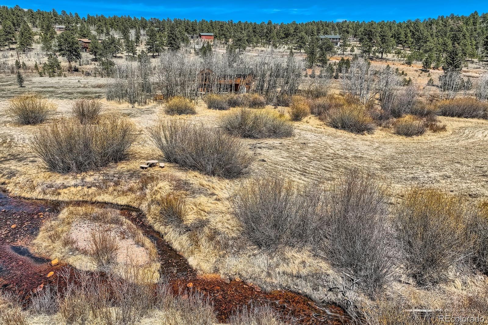 44 Forest Ridge Cir, Bailey, CO 80421