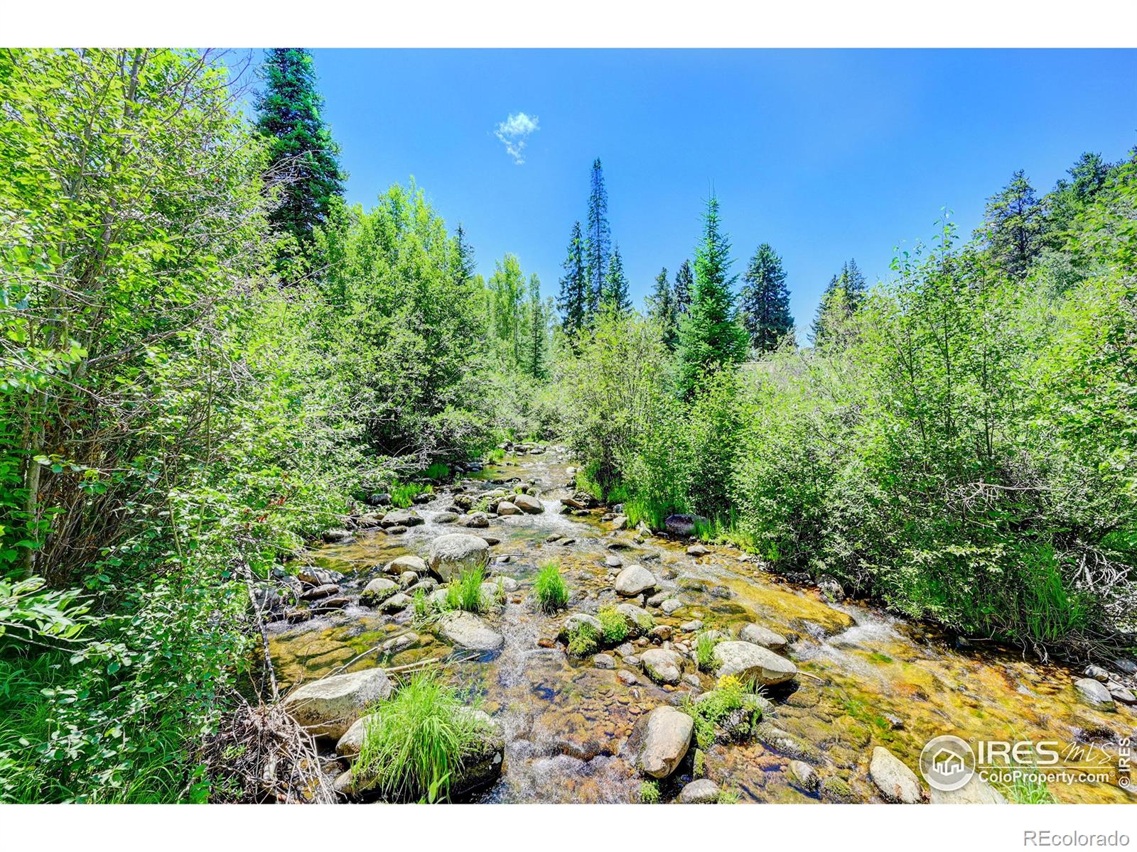 185 Vasquez Rd #D1, Winter Park, CO 80482