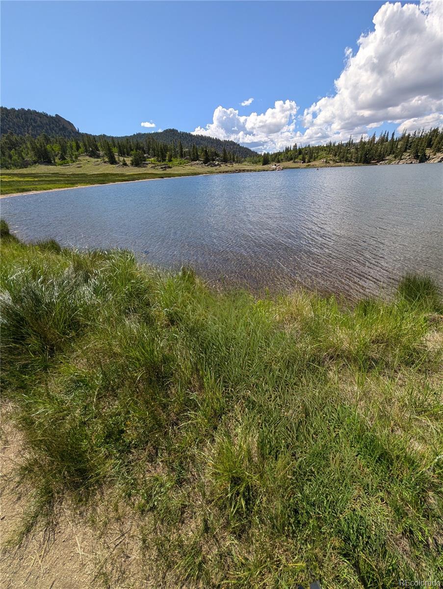 121 Broken Arrow Pa, Lake George, CO 80827