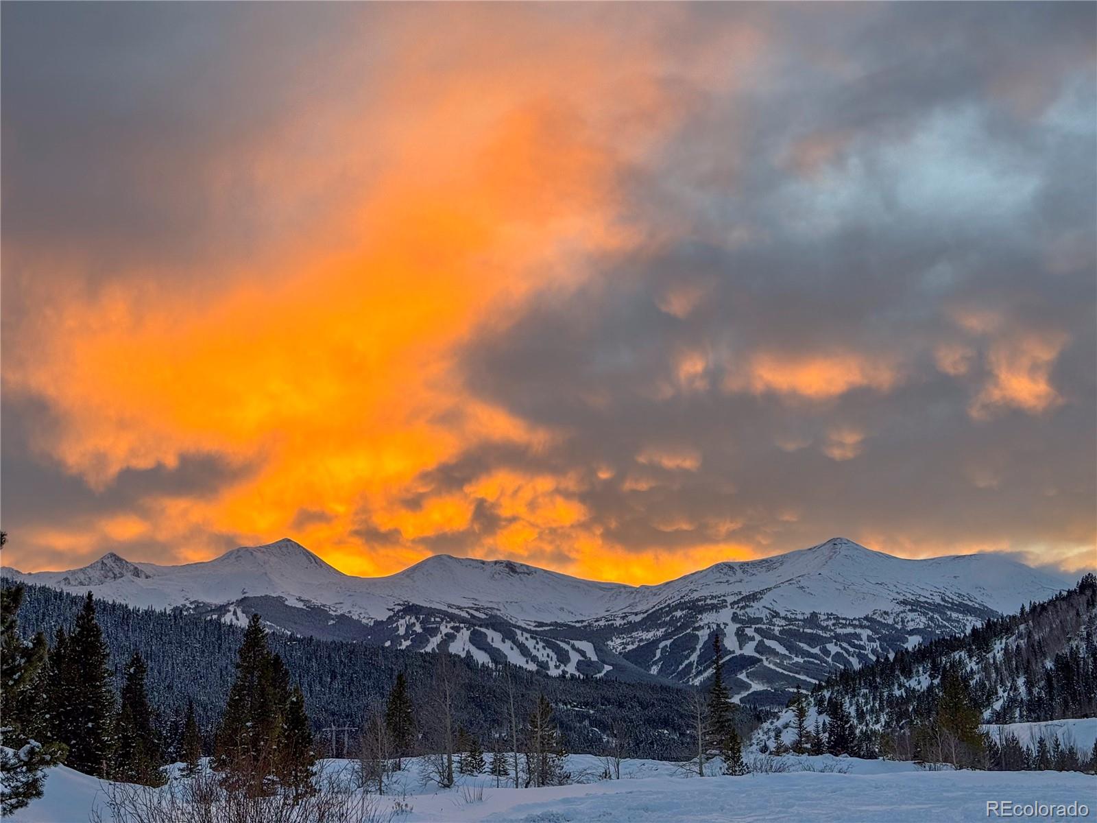 186 Rachel Ln, Breckenridge, CO 80424