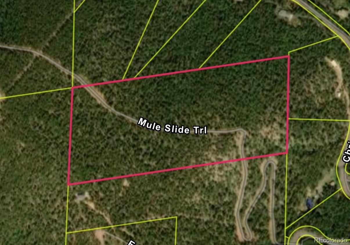 000 Mule Slide Trl, Conifer, CO 80433