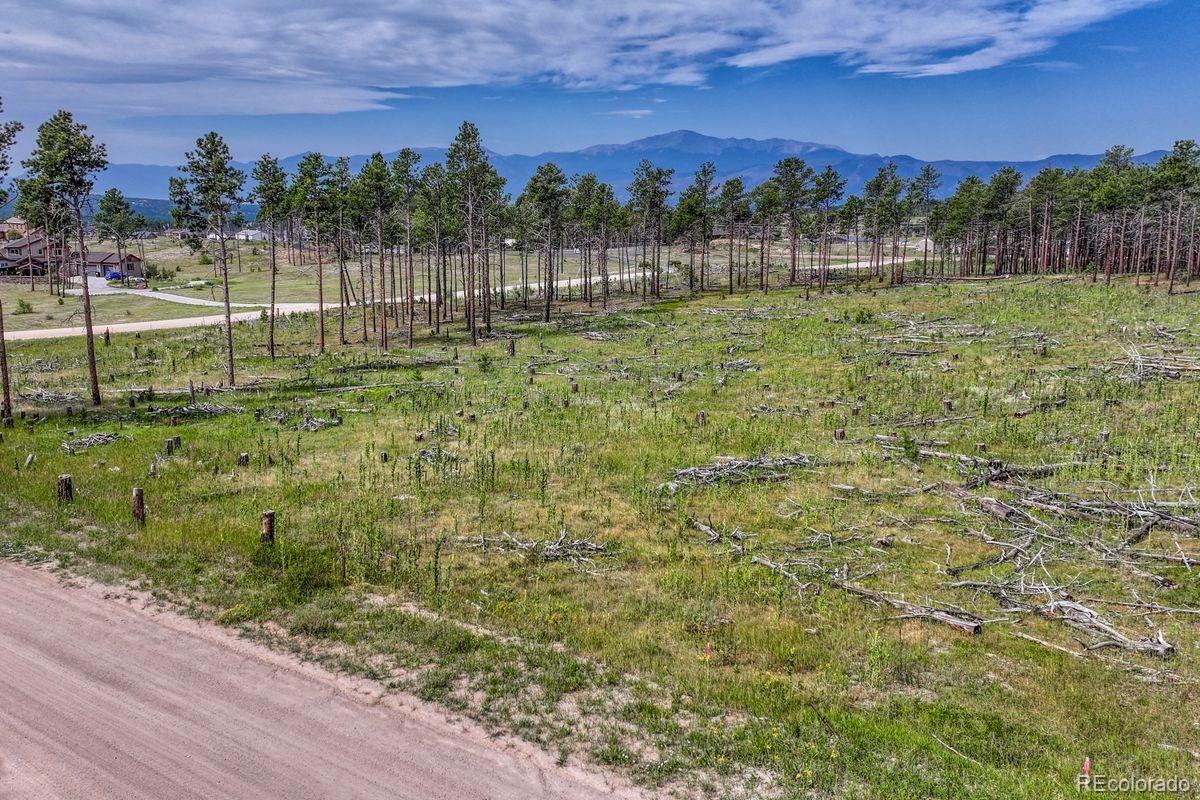 01 Wyandott, Colorado Springs, CO 80908