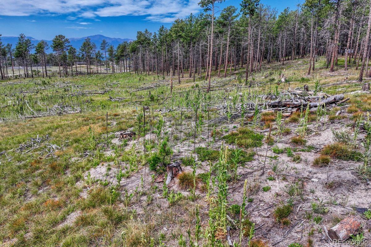 01 Wyandott, Colorado Springs, CO 80908