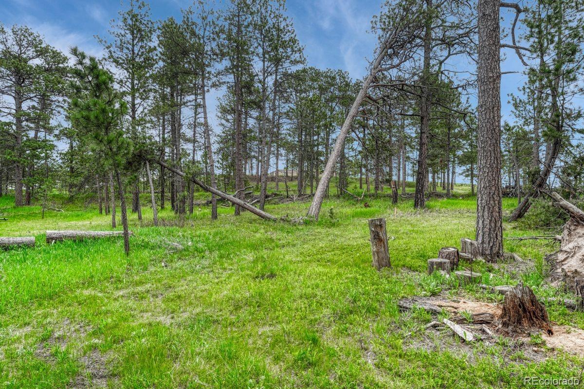 01 Wyandott, Colorado Springs, CO 80908