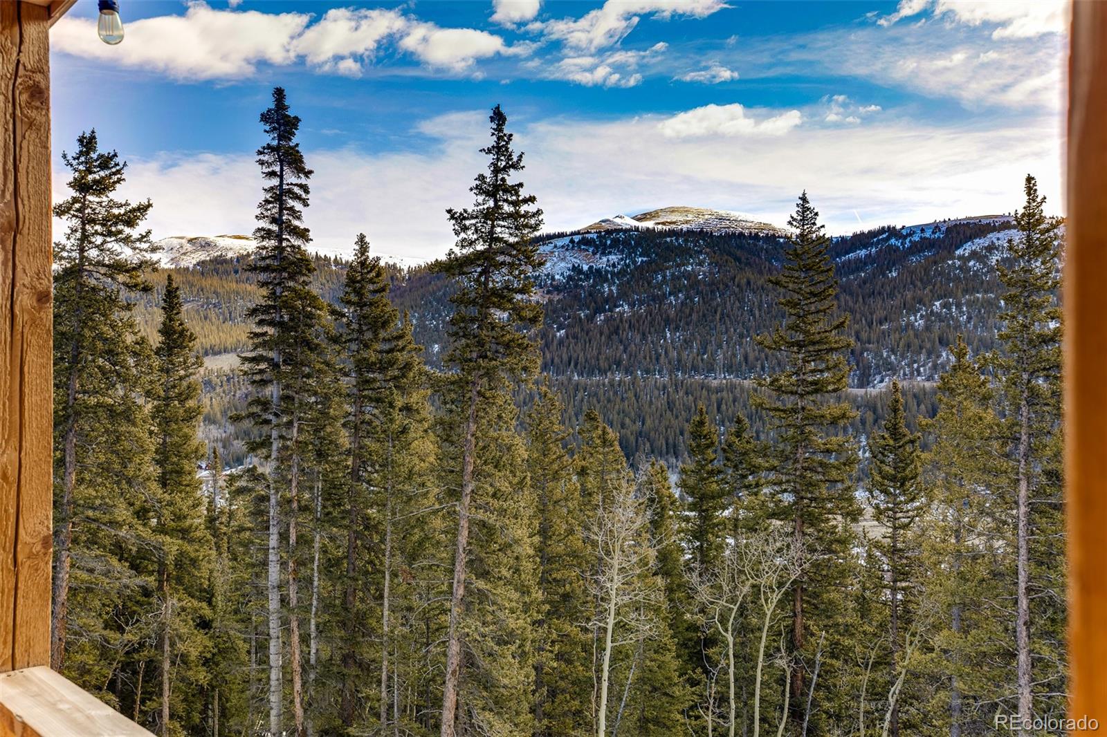 1452 Quartzville Rd, Alma, CO 80420