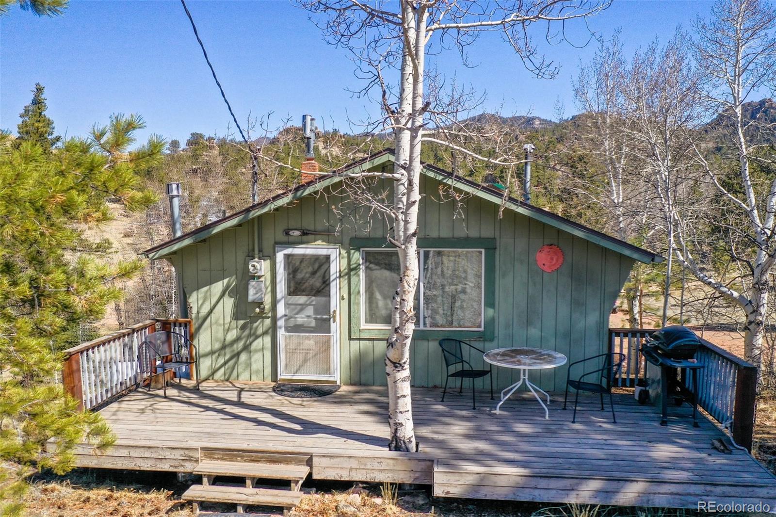256 Whale Dr, Lake George, CO 80827