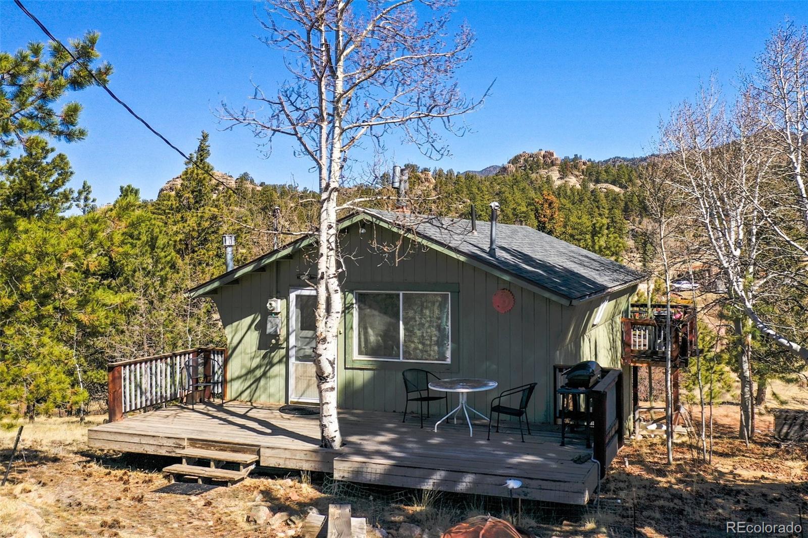 256 Whale Dr, Lake George, CO 80827