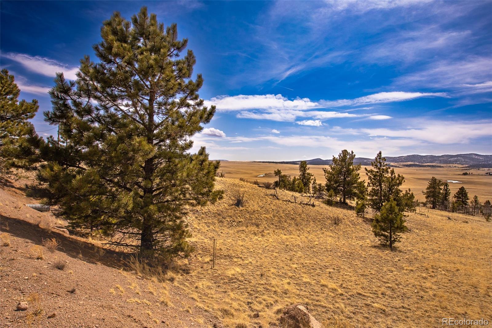 102 Pack Saddle Ct Lot 450, Hartsel, CO 80449