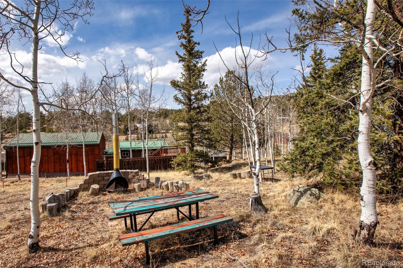 158 Brook Dr, Lake George, CO 80827