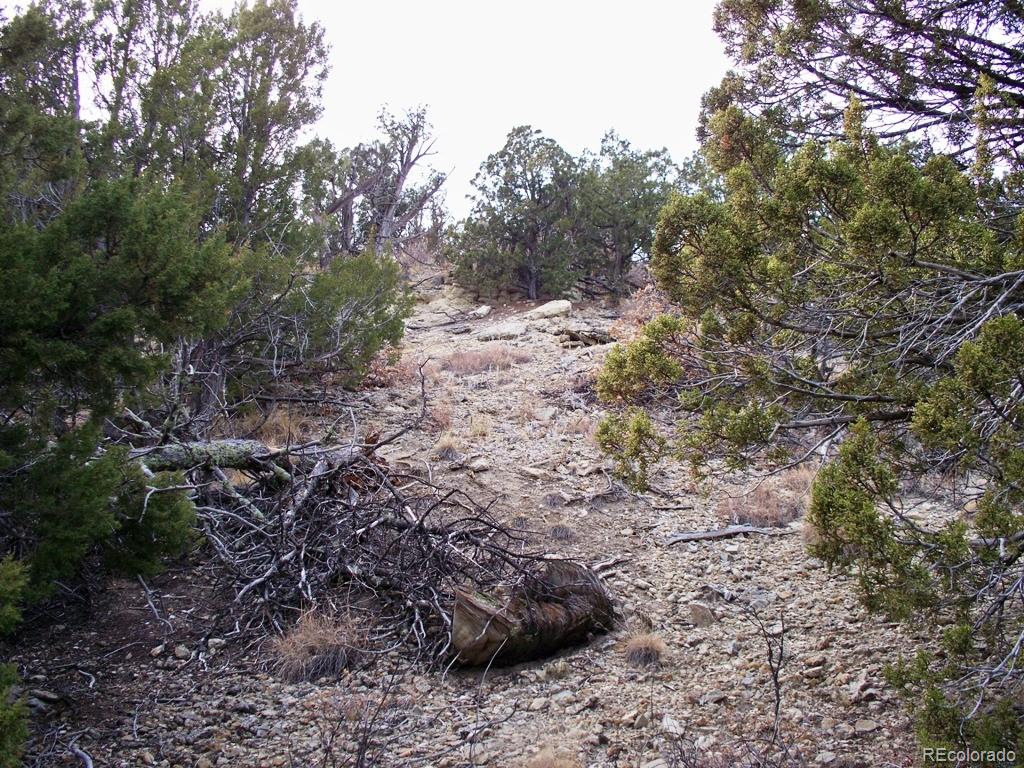 Lot 2 Red Creek Springs Rd, Pueblo, CO 81005
