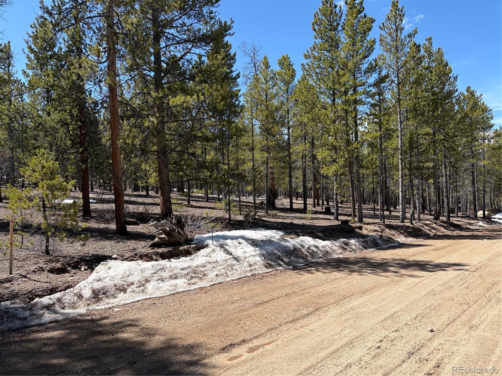834 Cedar Dr, Twin Lakes, CO 80461