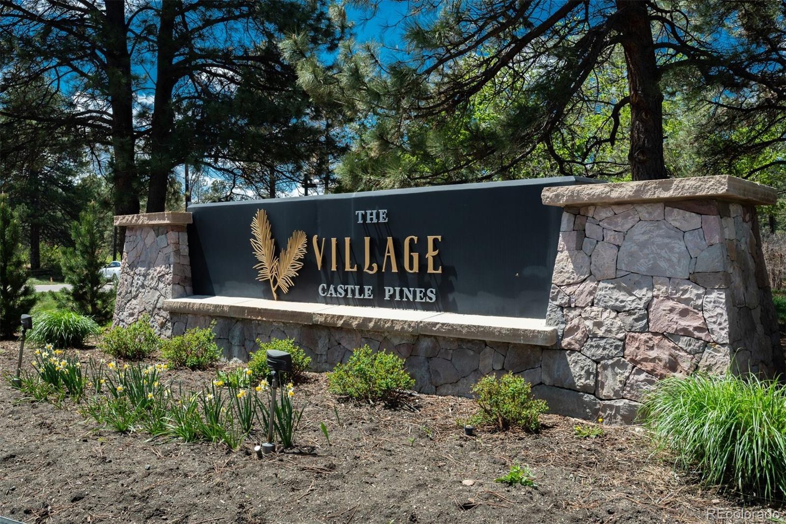 910 Equinox Dr, Castle Rock, CO 80108