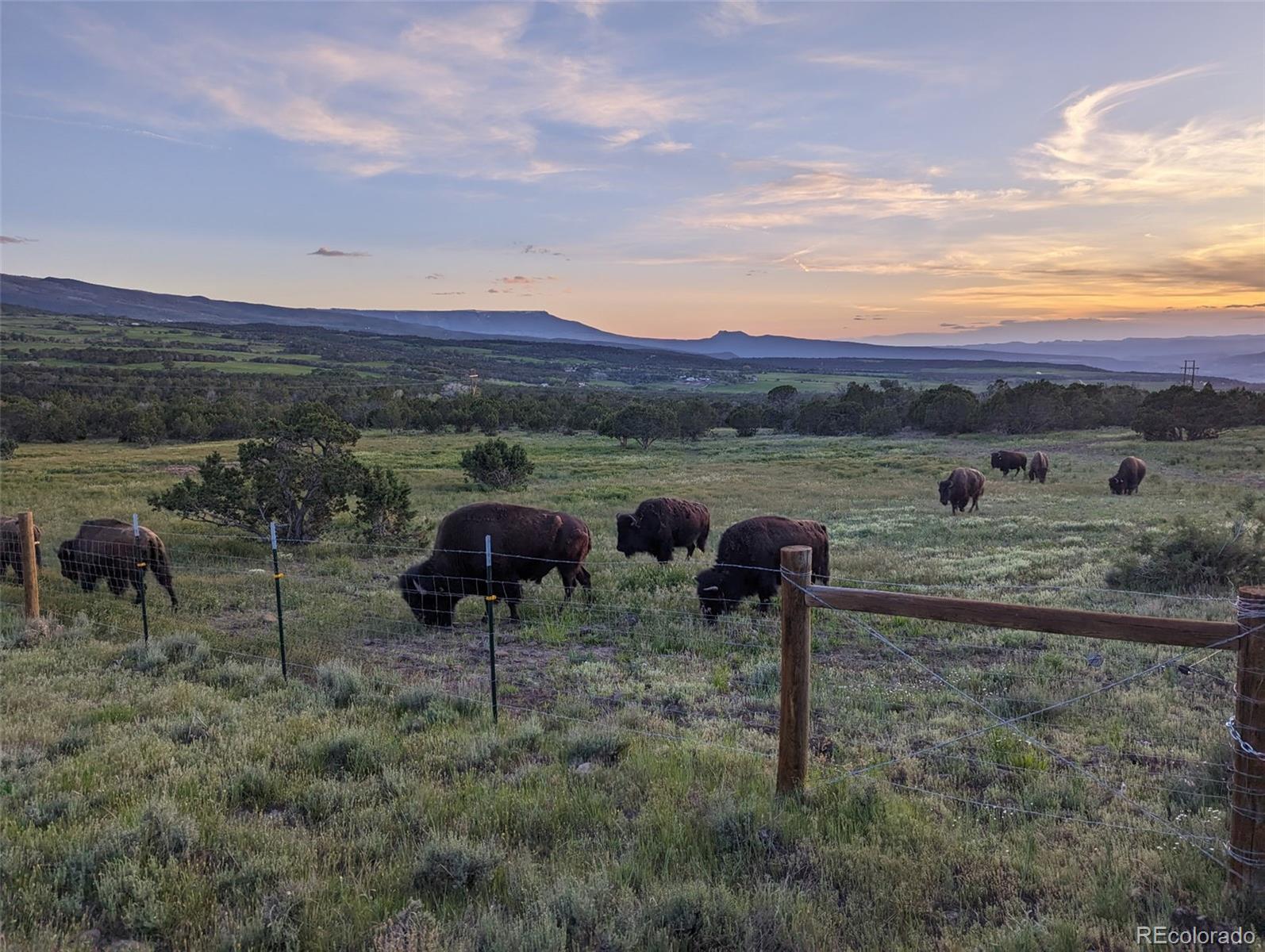 56001 Kk Rd #1 Parcel, Molina, CO 81646