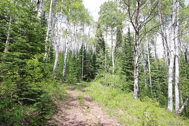 1390 Overlook Dr, Collbran, CO 81624