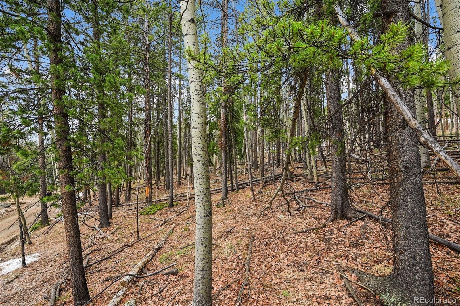 Ute Trl, Evergreen, CO 80439