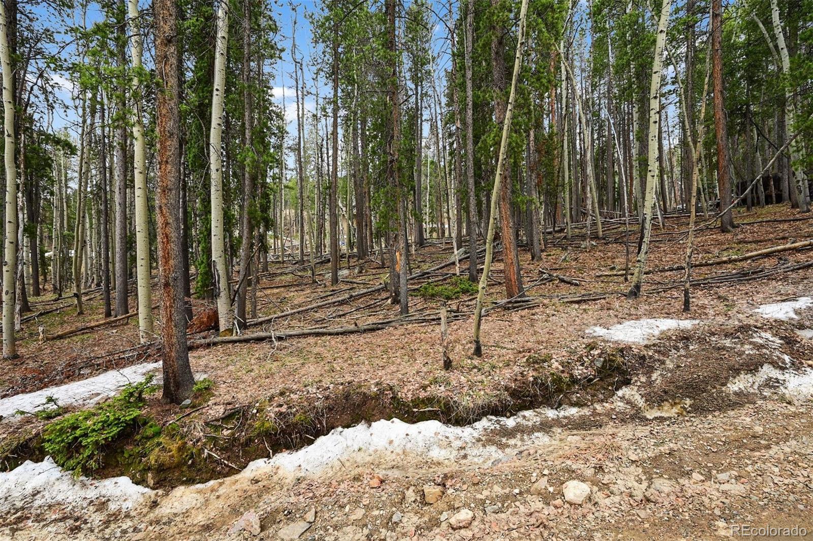 Ute Trl, Evergreen, CO 80439