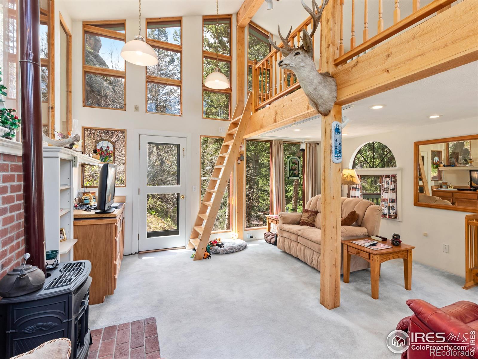 1134 Highway 7 Business, Allenspark, CO 80510