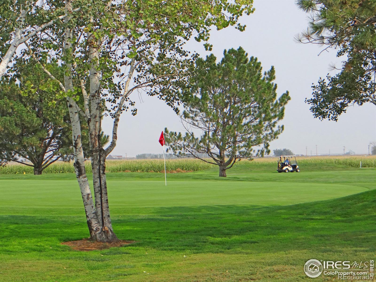 340 Peregrine Point, Eaton, CO 80615