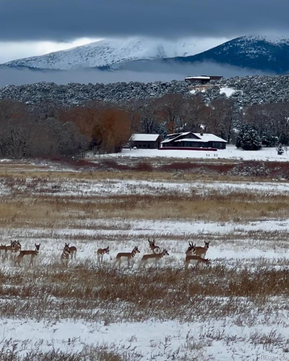11530 County Road 256, Salida, CO 81201
