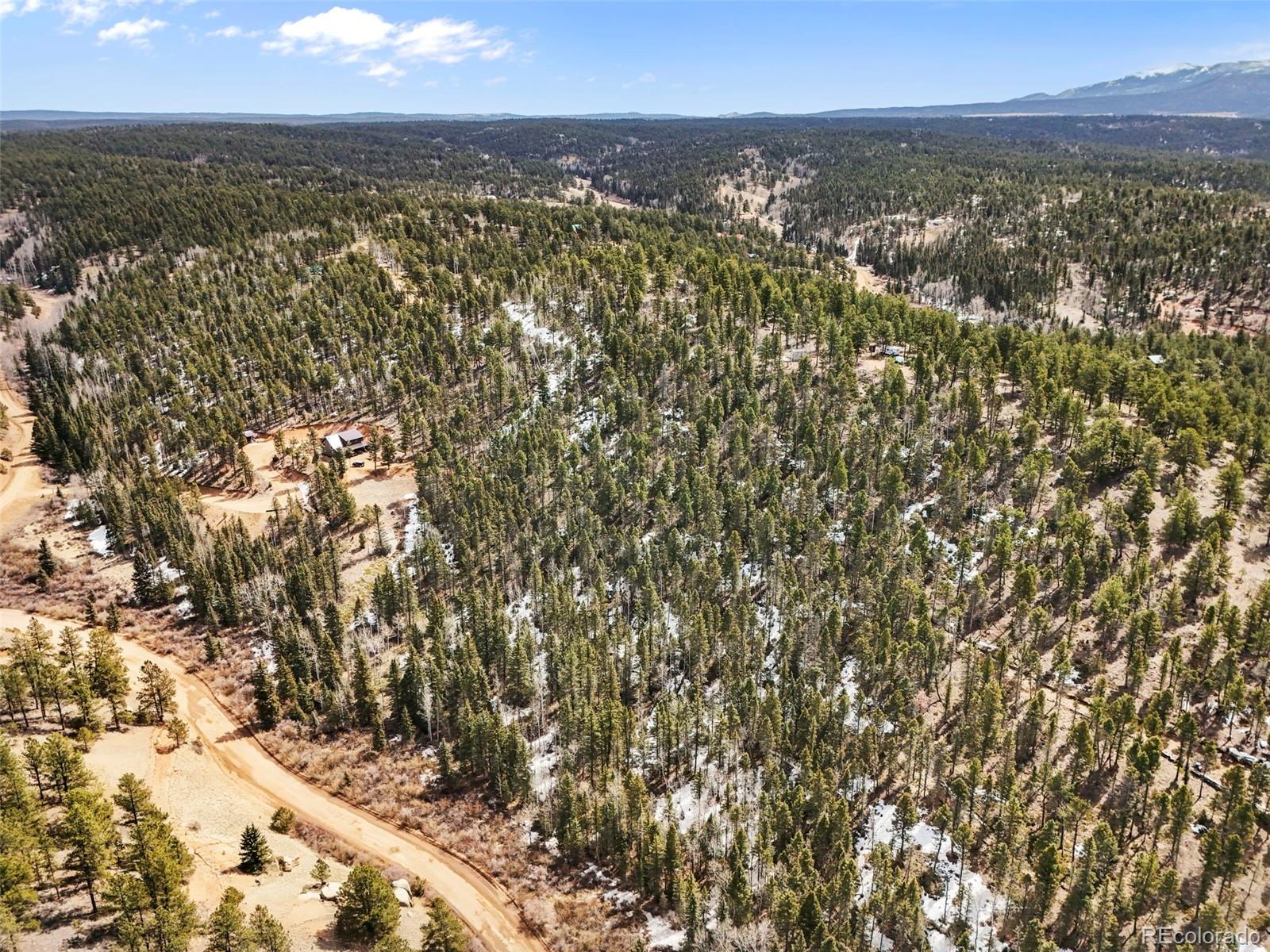 464 E Bison Creek Trl, Florissant, CO 80816
