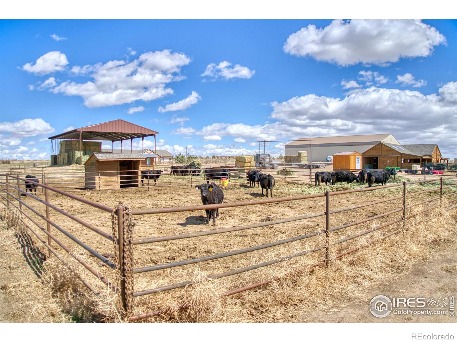 49055 County Road 17, Wellington, CO 80549