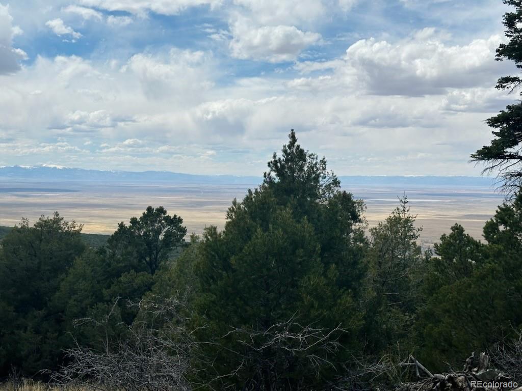 313 Arrastre Rd Lot 15 & 16, Mosca, CO 81146
