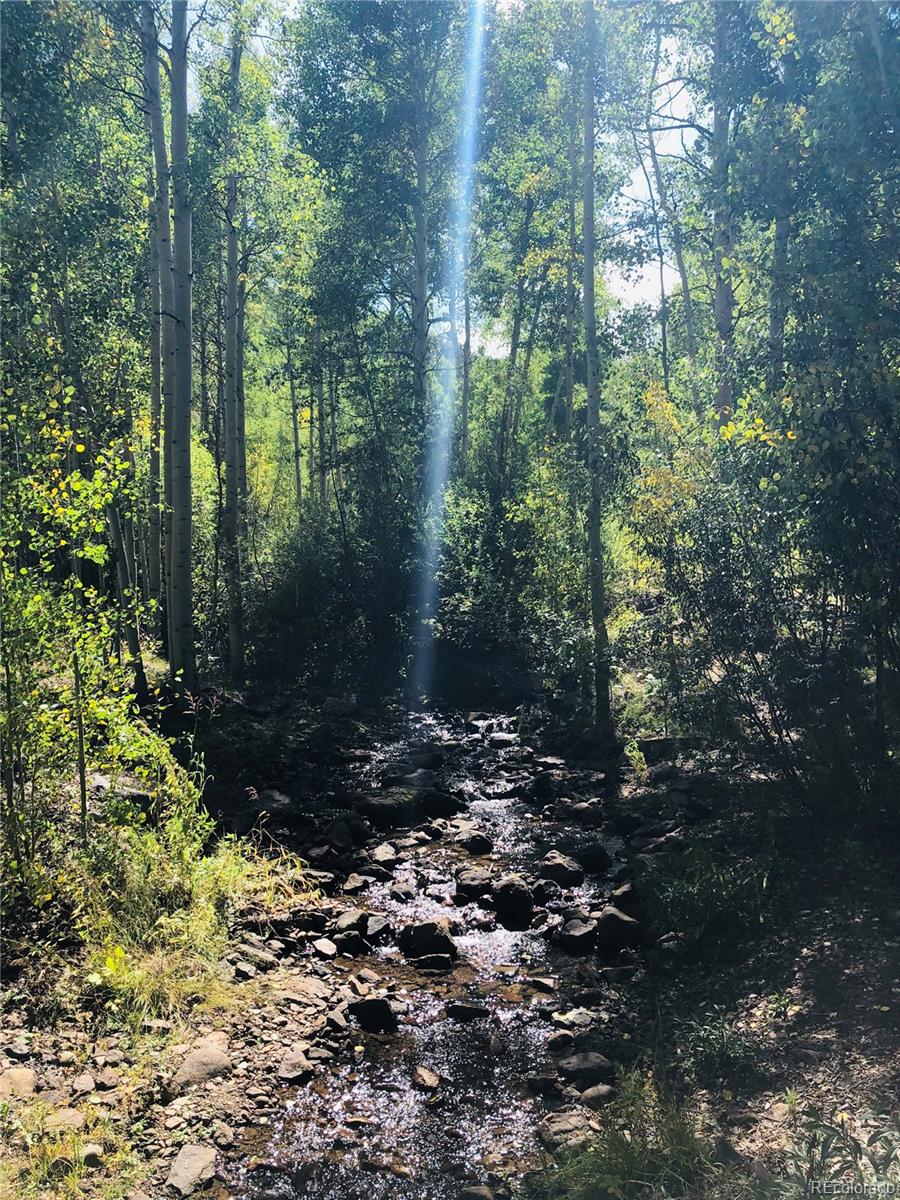 179 Elk Meadow Rn, Antonito, CO 81120